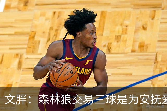 文胖：森林狼交易三球是为安抚爱德华兹 他一赛季被包夹近1000次